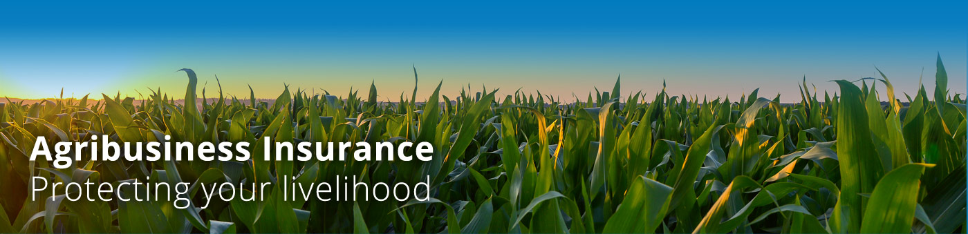 Agribusiness Insurance