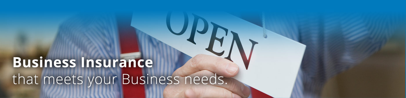 Schwarz Insurance Business Insurance