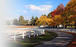 Country Estate Insurance